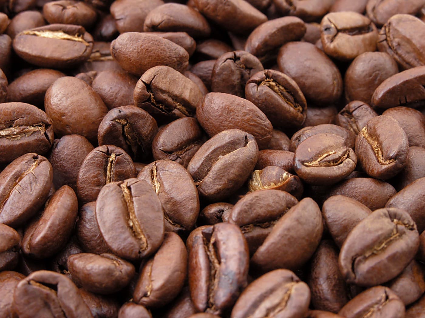 Hai loại hạt cà phê Robusta và Arabica đặt cạnh nhau